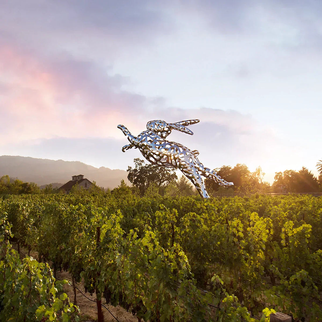 Defining the Hall Edge: A Perspective from Lisa Perrotti-Brown's, The Wine Palate