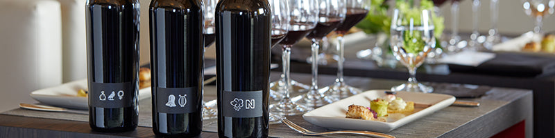 St. Helena - Platinum Experience - Discover HALL’s Expressions of Place - $200/pp